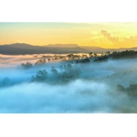 Obraz Foggy Landscape 120 x 80 cm