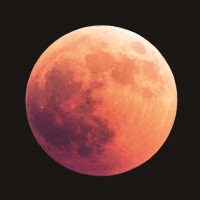 Obraz Moon 80 x 80 cm