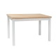 Jedálenský stôl Adam 100 x 60 cm - Dub / biela